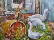 Ducks